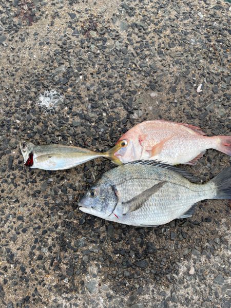 涼を求めて夕まづめに❗️