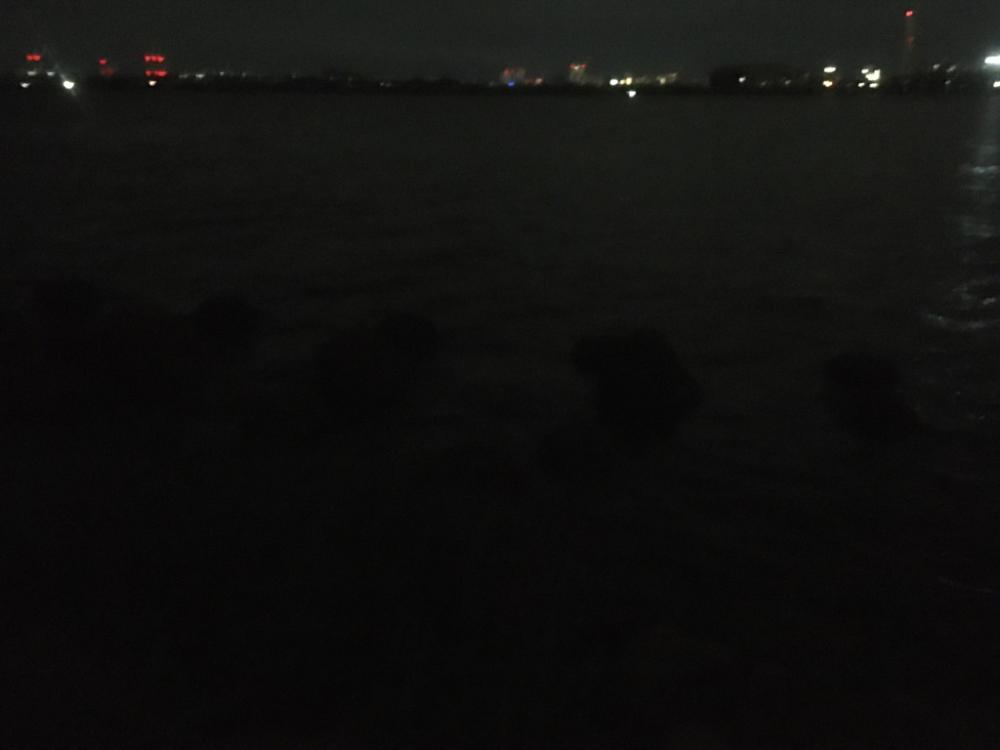 夏・夜・淀川でブッコミ