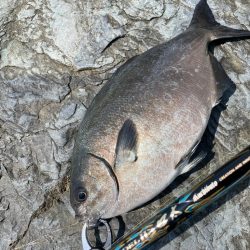 横島3番で梅雨グロ❗️