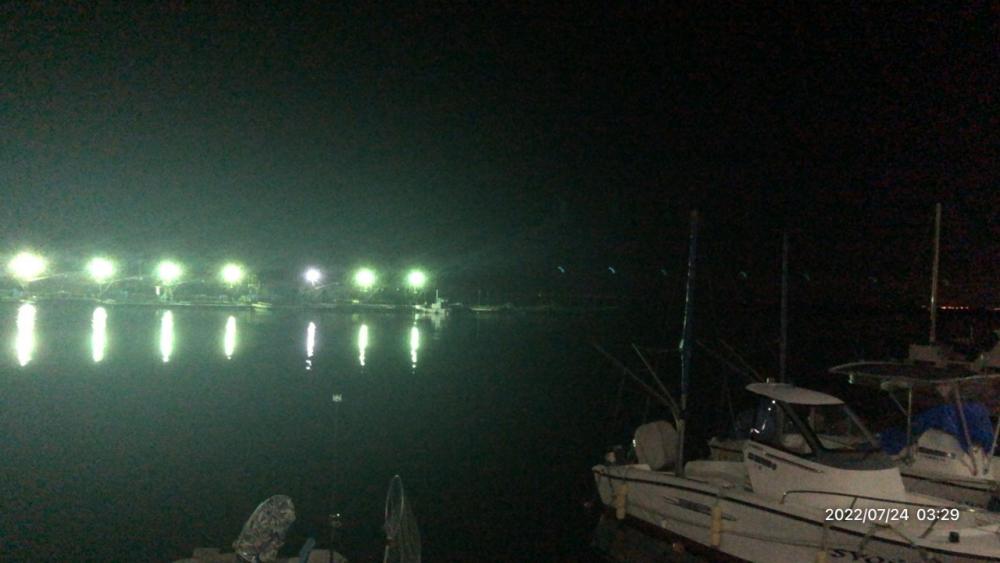 ロックフィッシュ