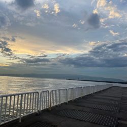 湾奥ライトゲーム!