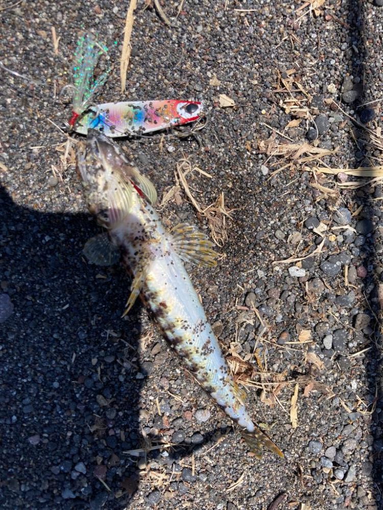 灼熱サーフフィッシング