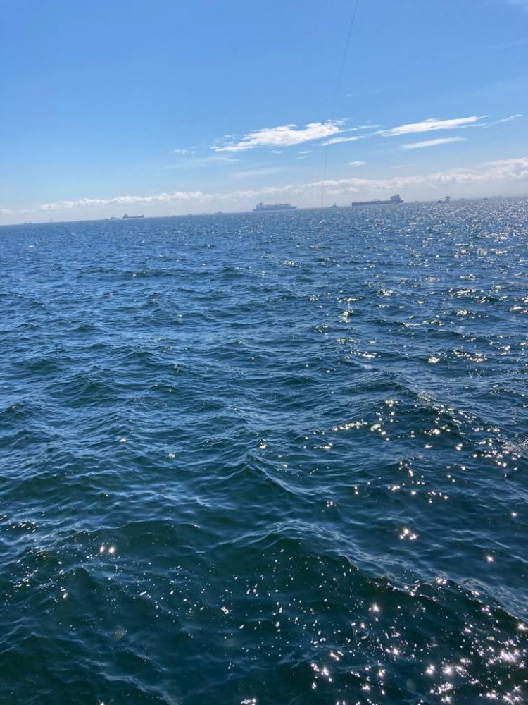 久しぶりのタコ