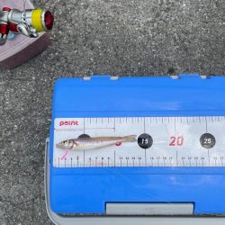 周防大島にて。