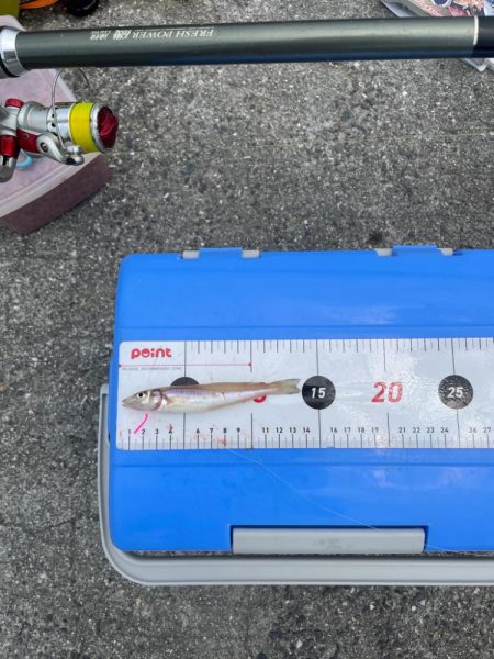 周防大島にて。