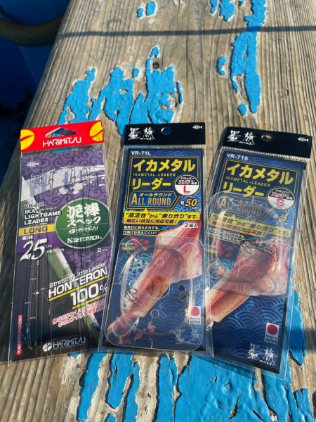 越前沖でイカメタル