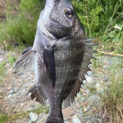 久し振りのフカセ