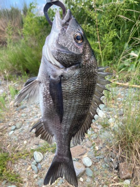 久し振りのフカセ