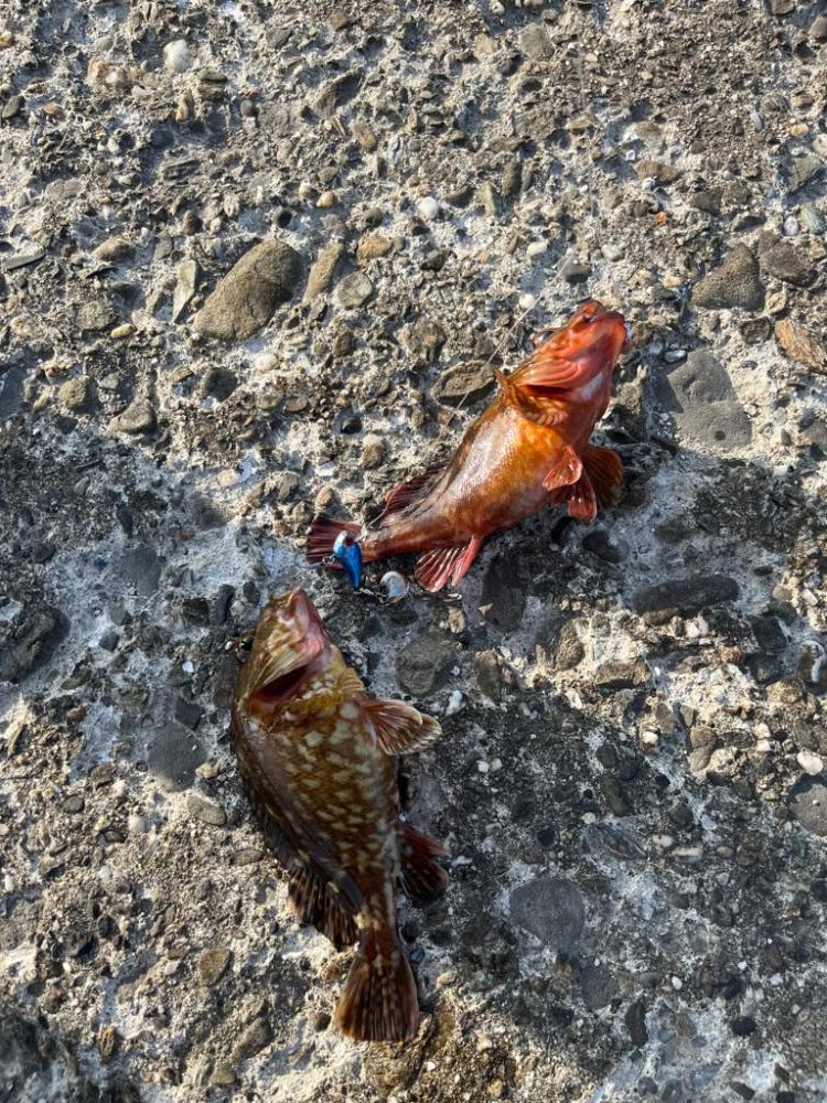 パターン掴めず