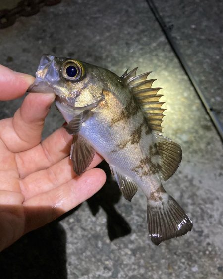 お手軽ライトゲーム