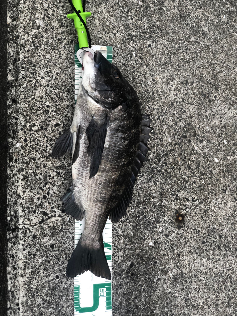 須磨ヨットハーバー沖一文字