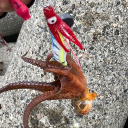 オクトパッシング 10