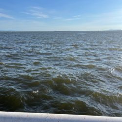 尼崎魚釣り公園