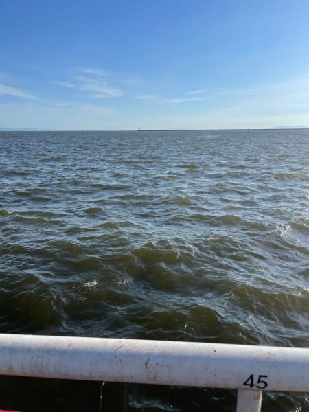 尼崎魚釣り公園