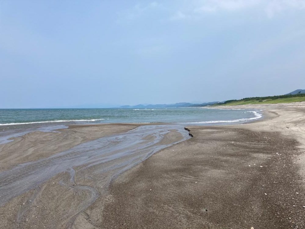 チニングからのキスっニング