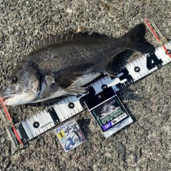 今回はこの配合 フカセ釣り