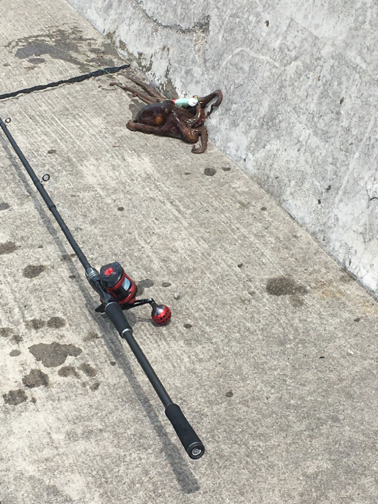 移動すること3ヶ所目でようやくゲット