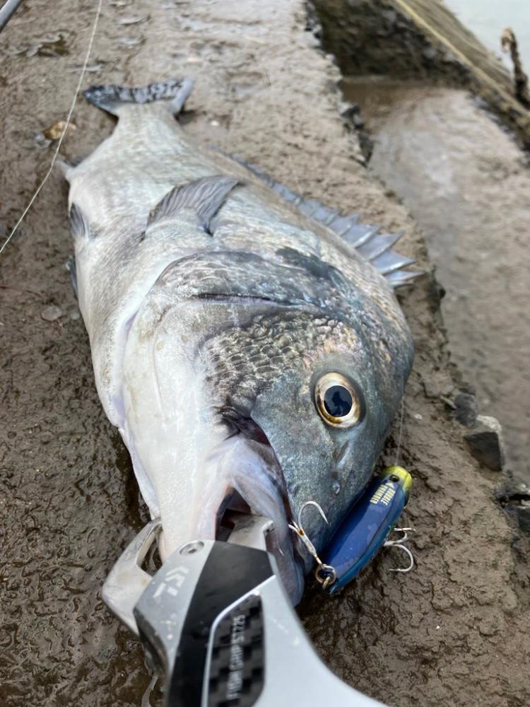 トップチニング !