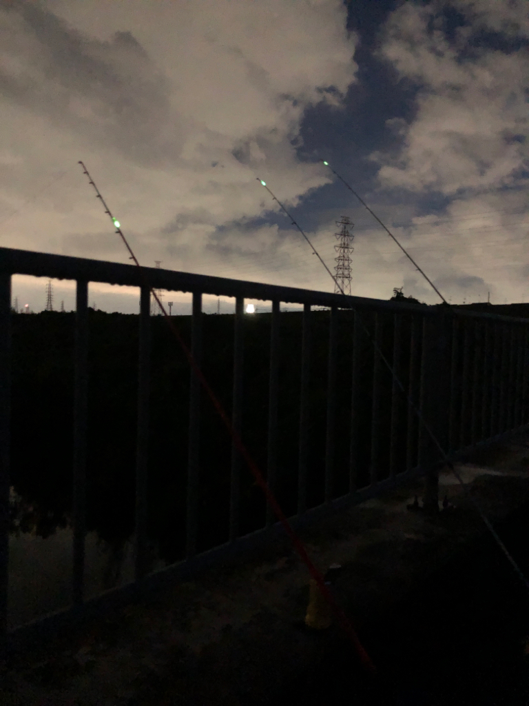 淀川水系でウナギ釣り