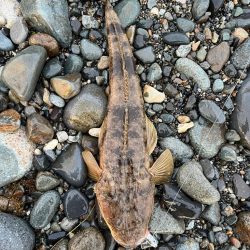 呪いを祓って！