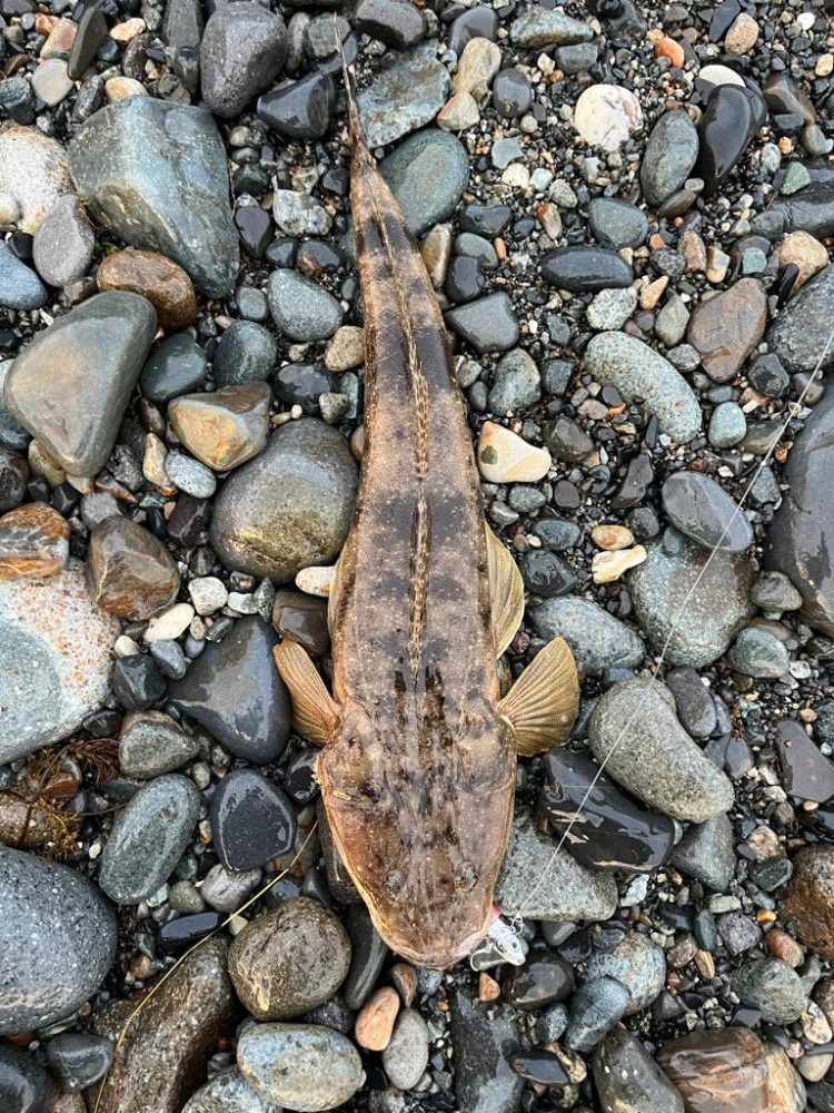 呪いを祓って！