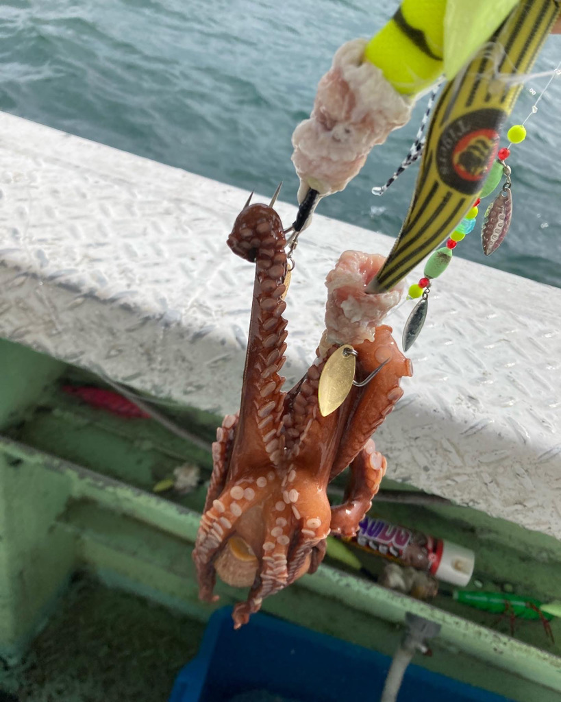 淡路沖船タコ🐙