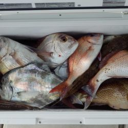 根魚狙いインチク・タイラバ