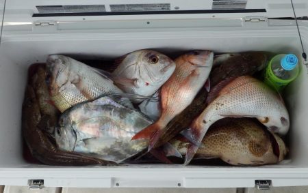 根魚狙いインチク・タイラバ