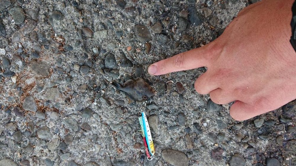 活性よかったよ