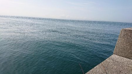 コフダイ釣りが五目釣りに