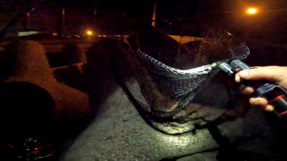 デッカサゴ！！！