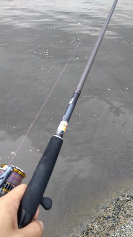 チョイ投げ〜激濁り編〜