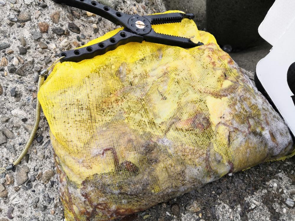 オクトパッシング 11