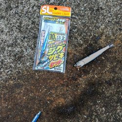 チヌ釣りとジグサビキで