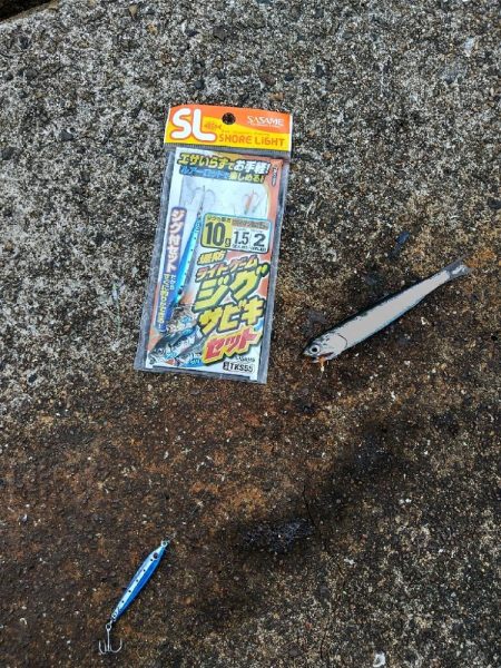 チヌ釣りとジグサビキで