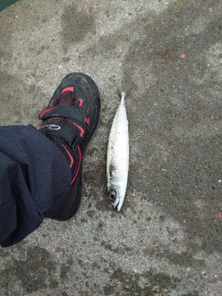 クロ釣り(畝刈)