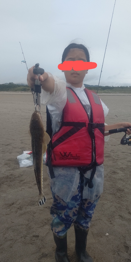 マゴチとセイゴとキビレ