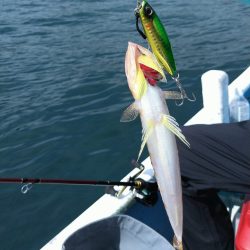 三重県レンタルボート