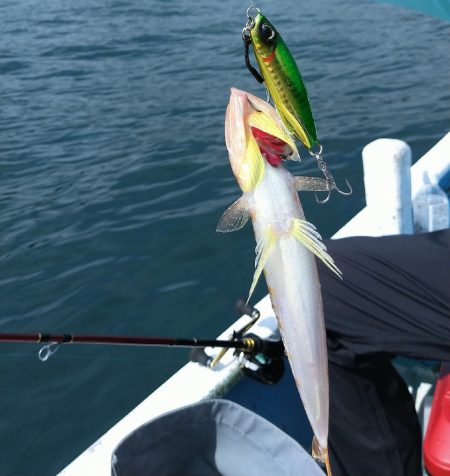 三重県レンタルボート