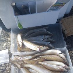 チョイ投げ〜シーズンベスト編〜