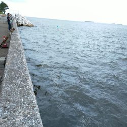 閑散とした夕マヅメに