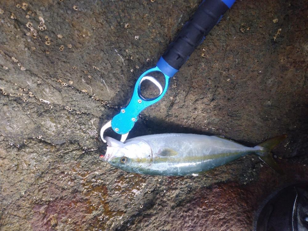 沖磯ショアジギング