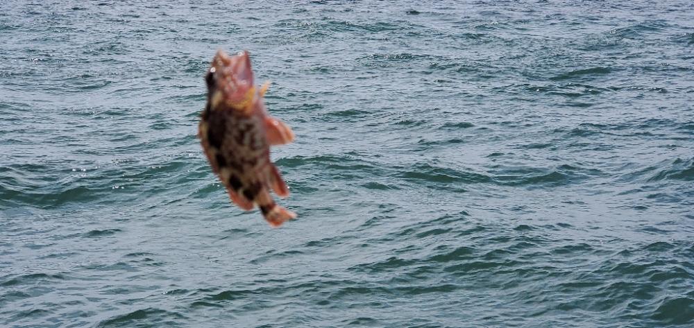 キス狙いのはずが…