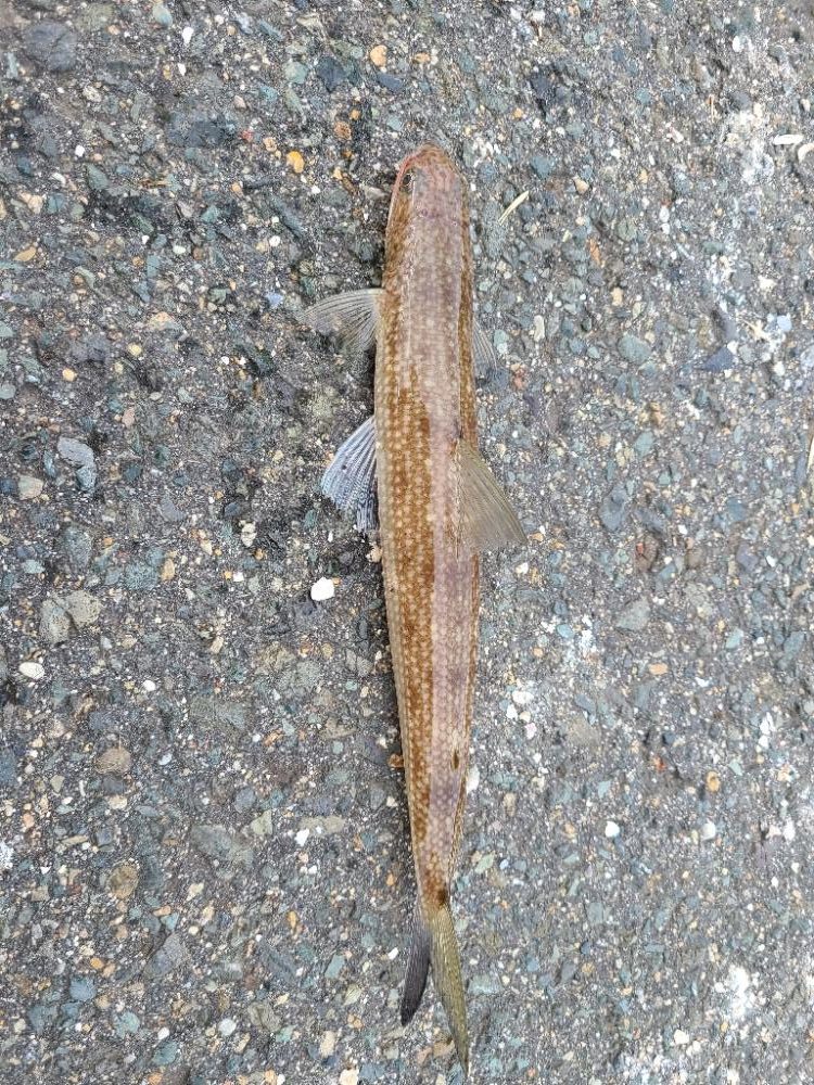 なかなか厳しい