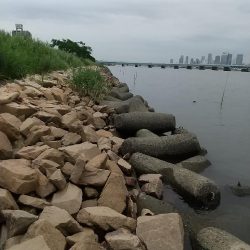 淀川えびリベンジ撃沈からのウロハゼ