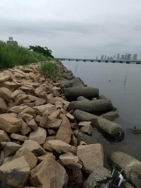 淀川えびリベンジ撃沈からのウロハゼ