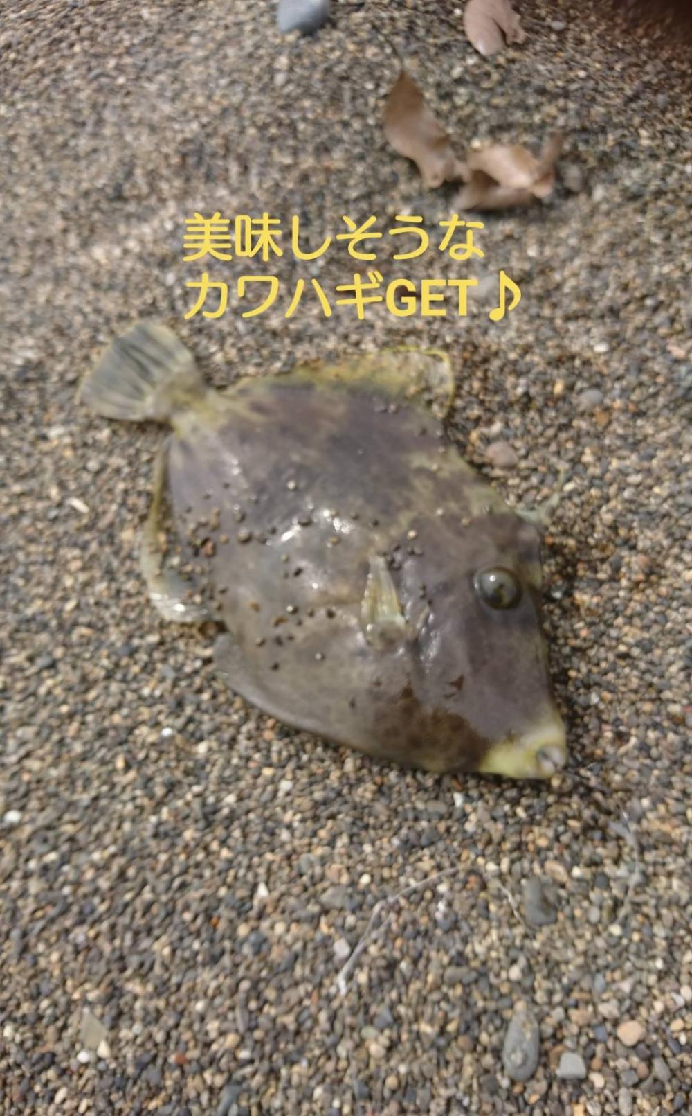 サーフでのんびりが豪雨に見舞われ…