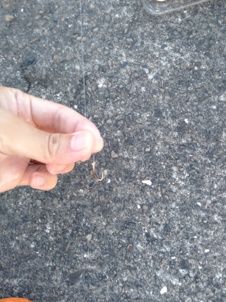 のんびりアジ釣り