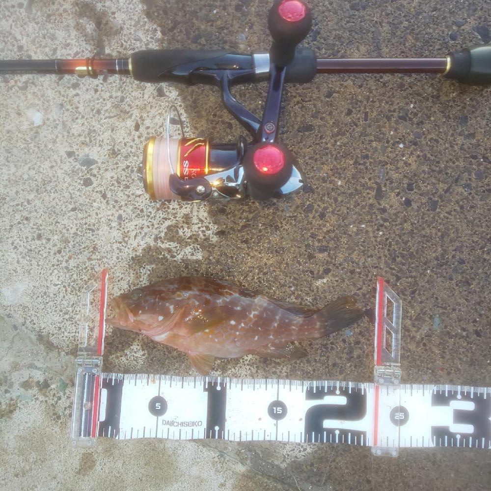 ﾀﾞｲｿｰｼﾞｸﾞ良い仕事しますね〜