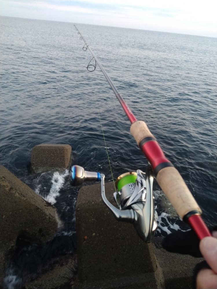 アジ狙いのはずなんです